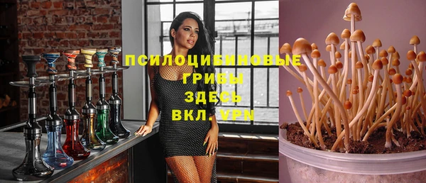 Альфа ПВП Алексеевка