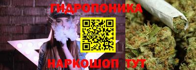 скорость Лесосибирск