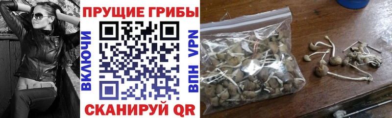 Псилоцибиновые грибы Cubensis  цена наркотик  Елизово 