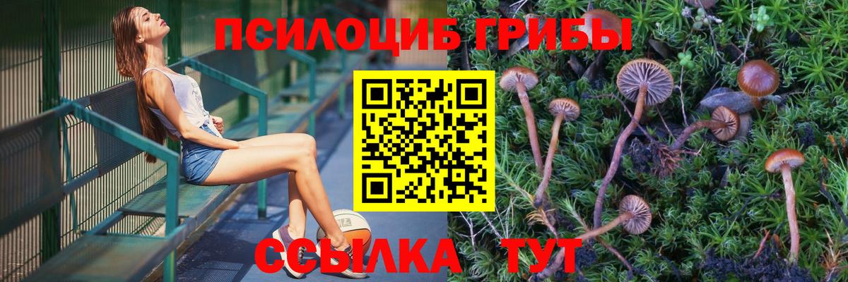 Псилоцибиновые грибы прущие грибы  Вход с VPN  закладки  Елизово 