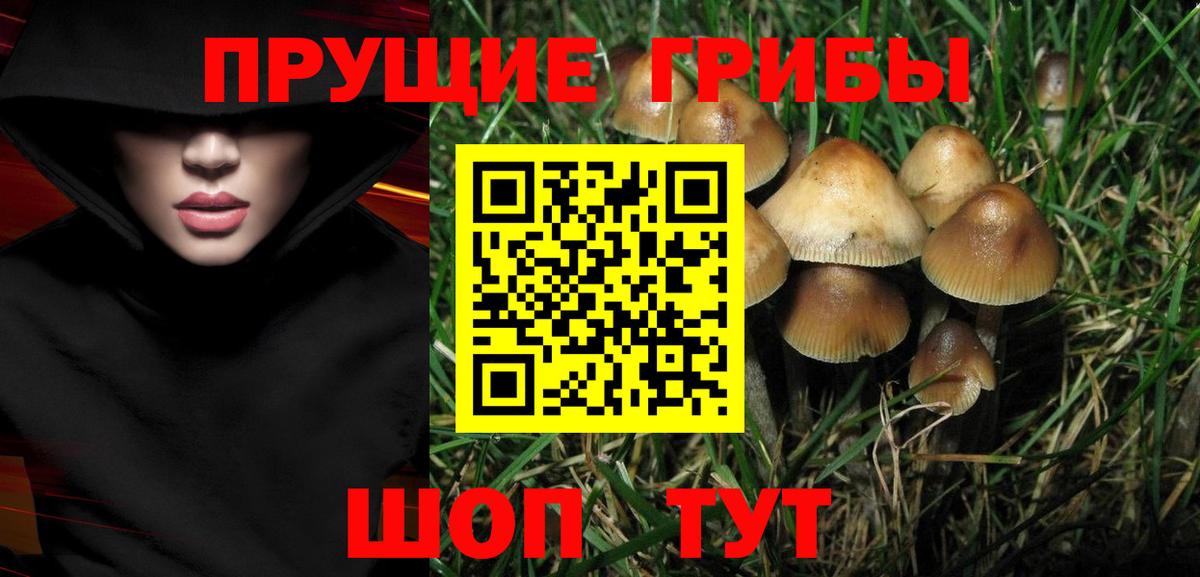 Галлюциногенные грибы MAGIC MUSHROOMS Елизово