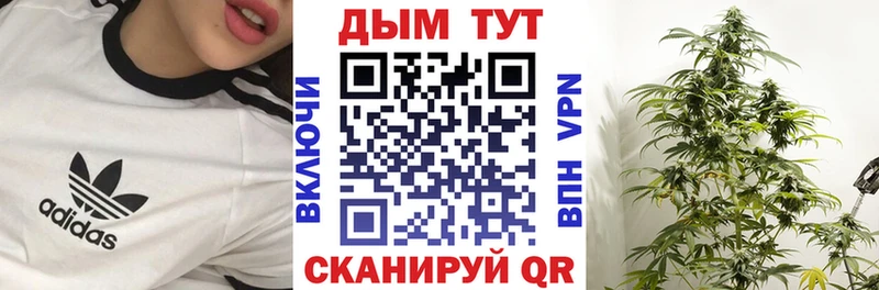 купить наркотик  Елизово  Марихуана OG Kush 